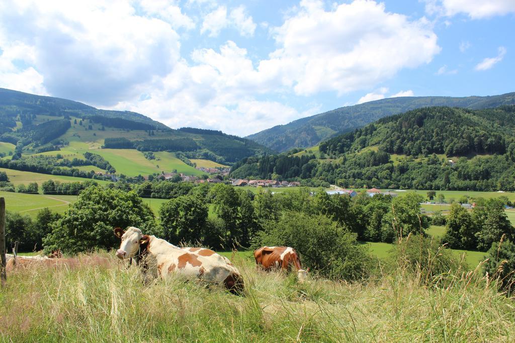 Landgasthof Zum Schuetzen Oberried  Esterno foto