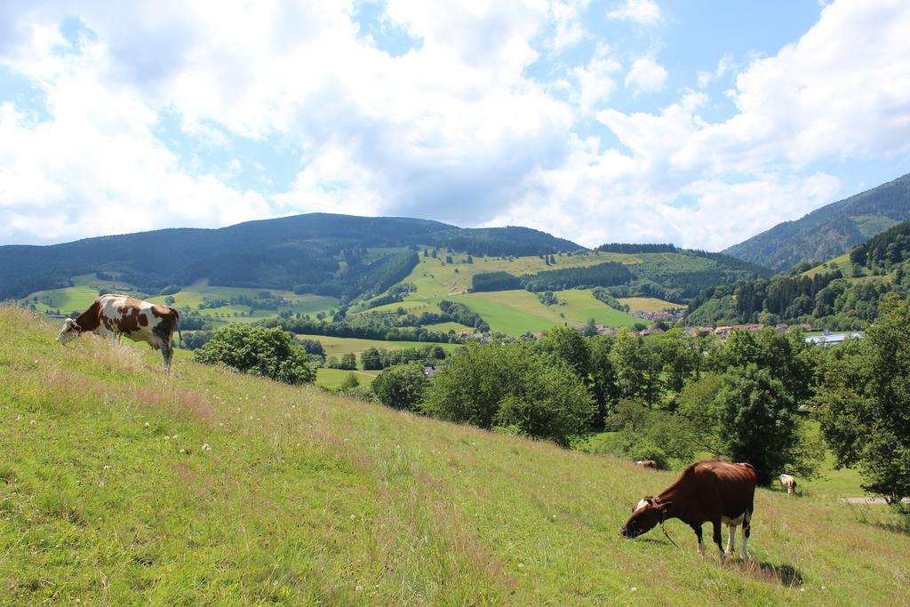 Landgasthof Zum Schuetzen Oberried  Esterno foto